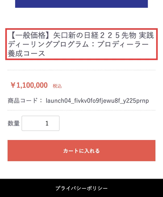 FiPayの商品ページ。一般価格 矢口新の日経225先物 実践ディーリングプログラム：プロディーラー養成コース、1,100,000円（税込）と書かれている